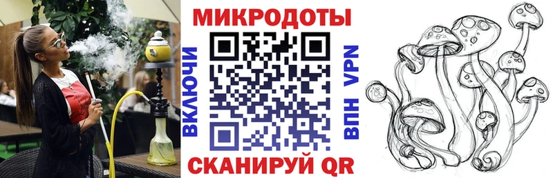 Купить  Слободской  Галлюциногенные грибы Psilocybine cubensis 